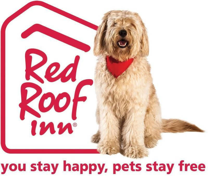Red Roof Inn Plus+ Columbus-Ohio State University Osu Екстер'єр фото